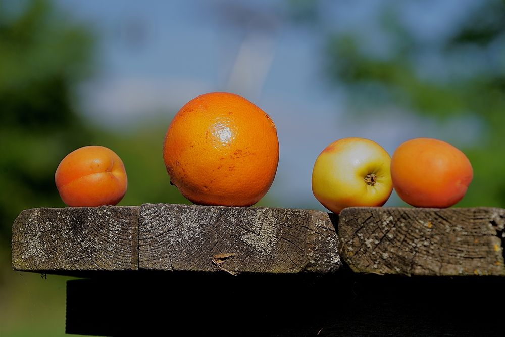Photograph by Sergej Roor