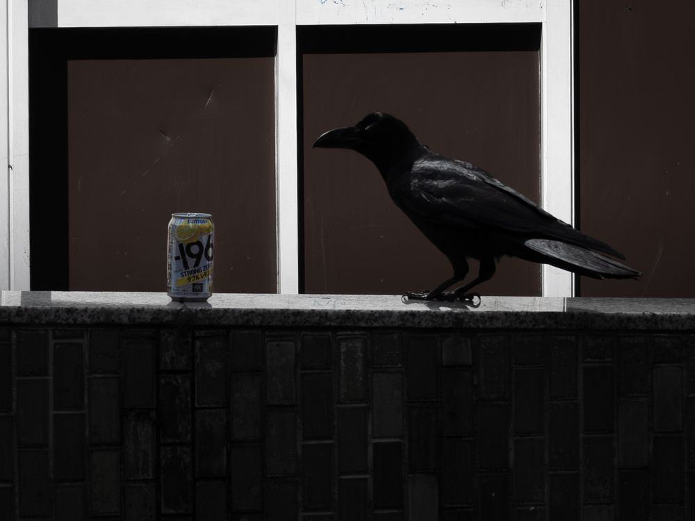 Photograph by Kiriya N
