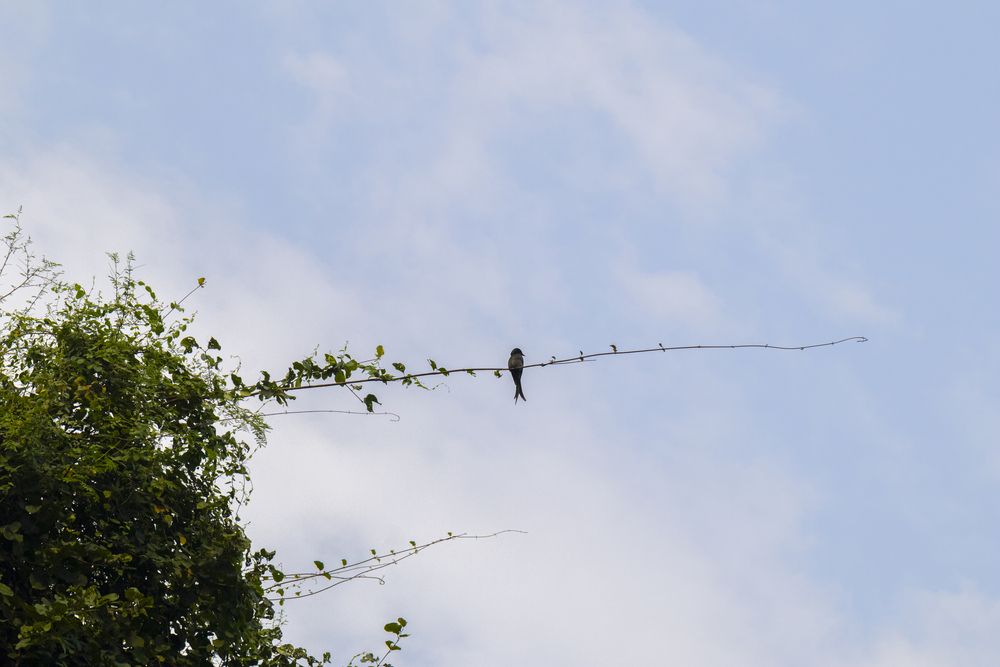 Photograph by Chauhan Dhruv