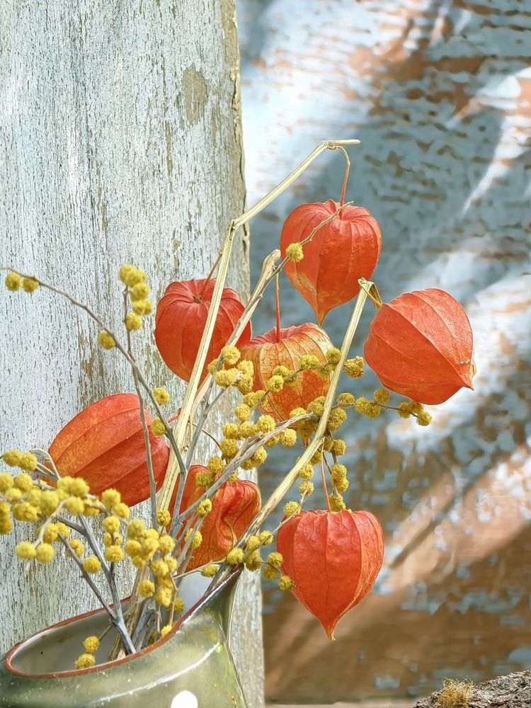 Photograph by Елена Охапкина