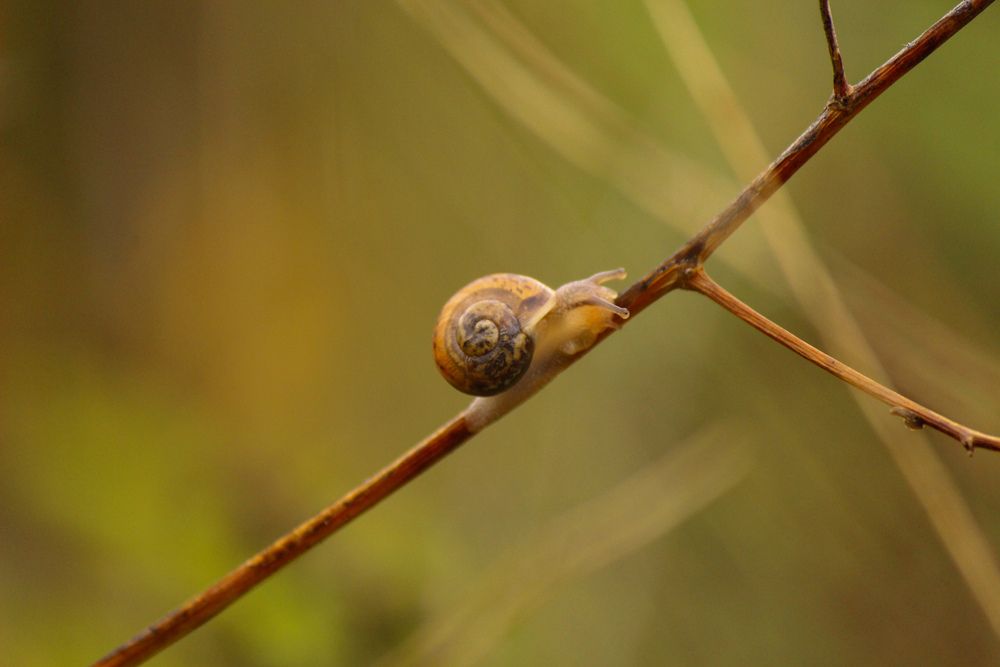 Photograph by Ирина Дмитриенко