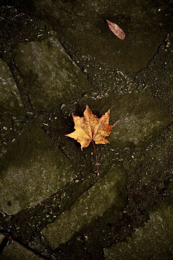 Photograph by Дина Чехова