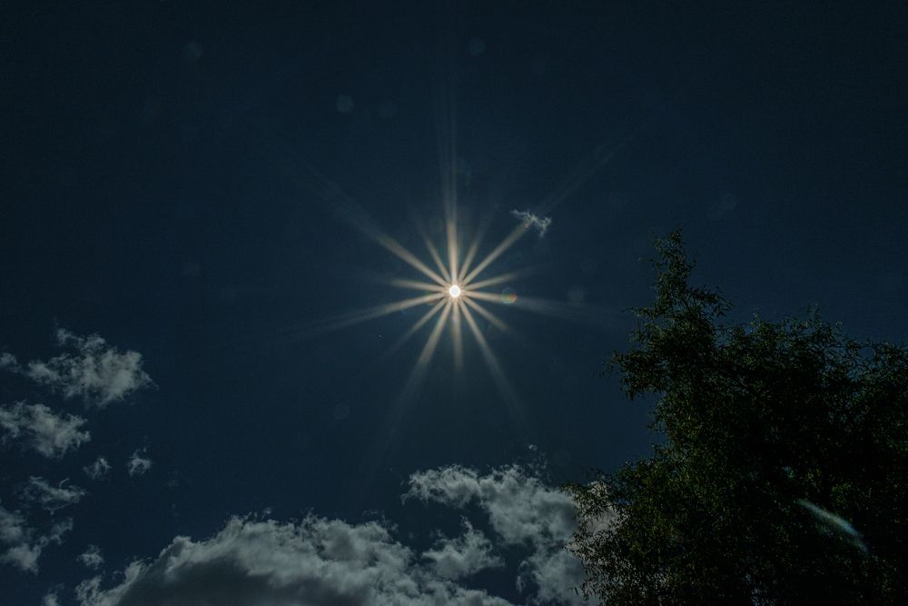 Photo #13662551
