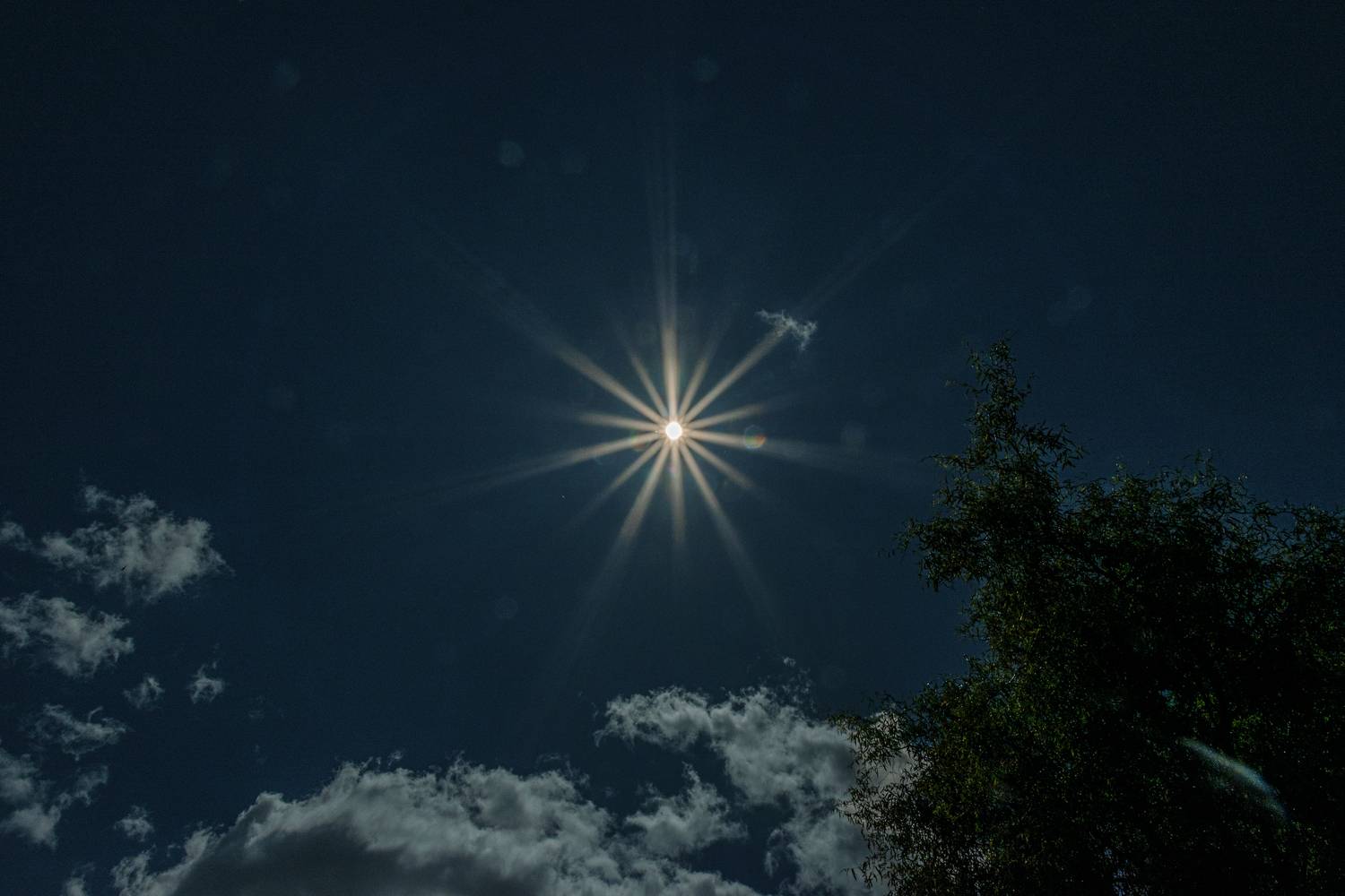 Photo #13662551
