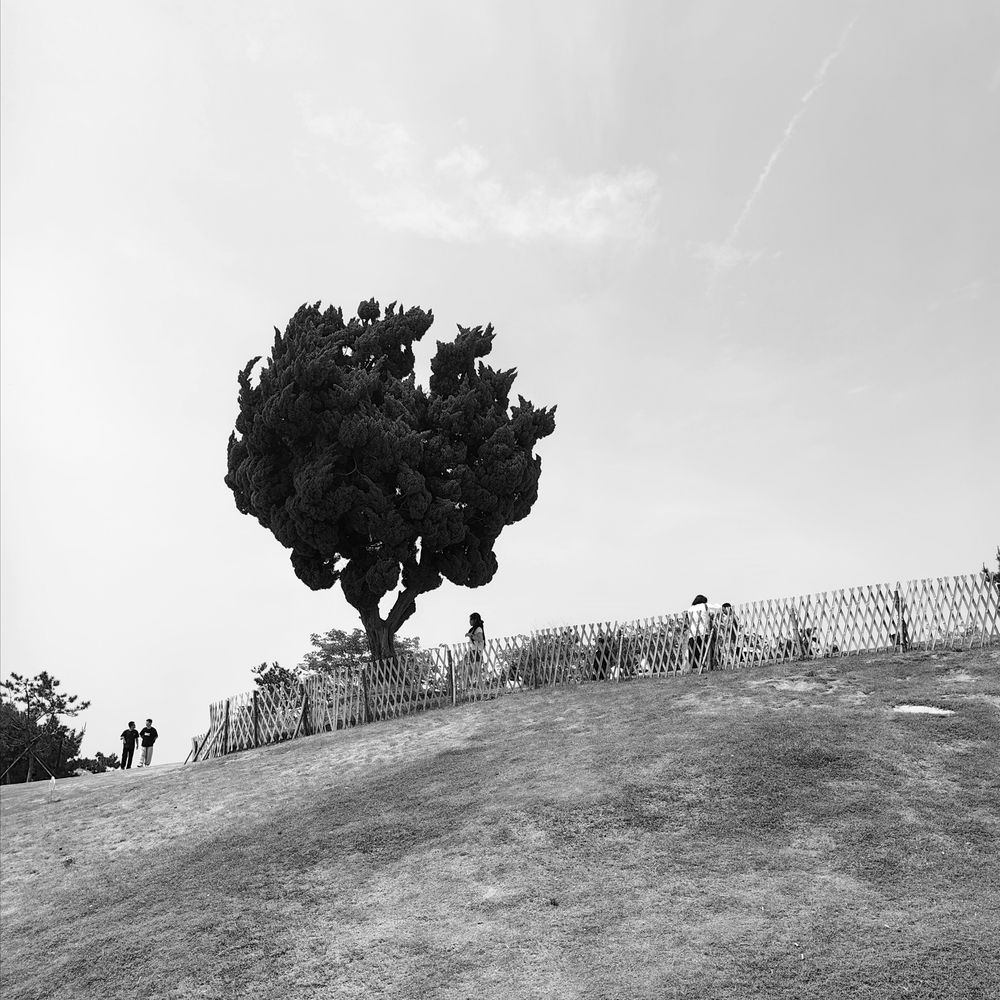 Photograph by Игорь Крыжко