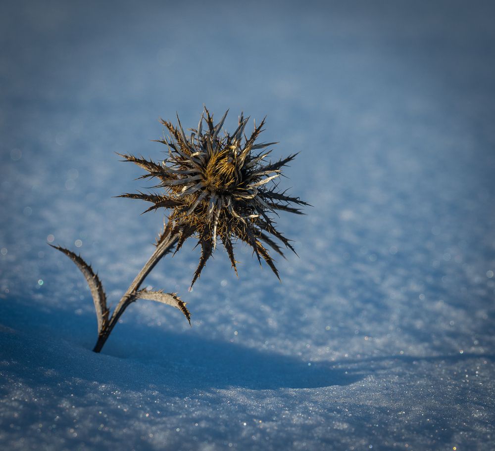 Photograph by Бабаков Александр