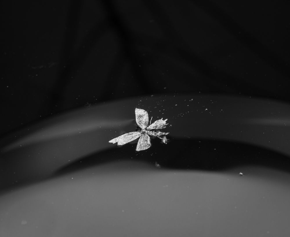 Photograph by Бабаков Александр