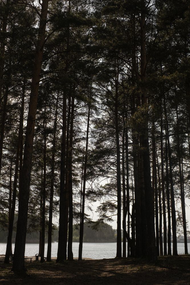 Photograph by Василина Окладовикова