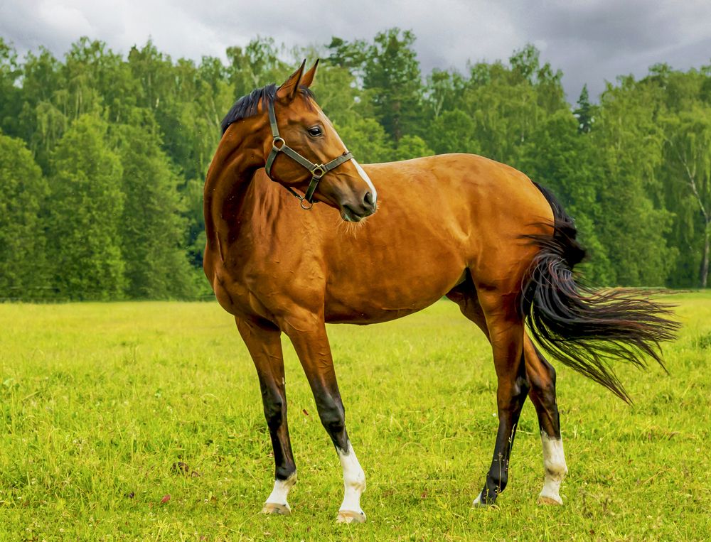 Photograph by александр лялин