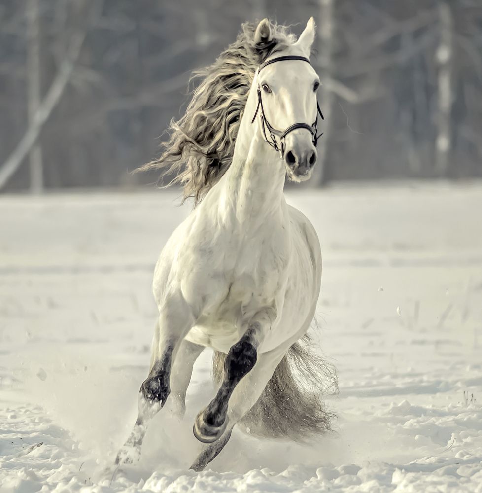 Photograph by александр лялин