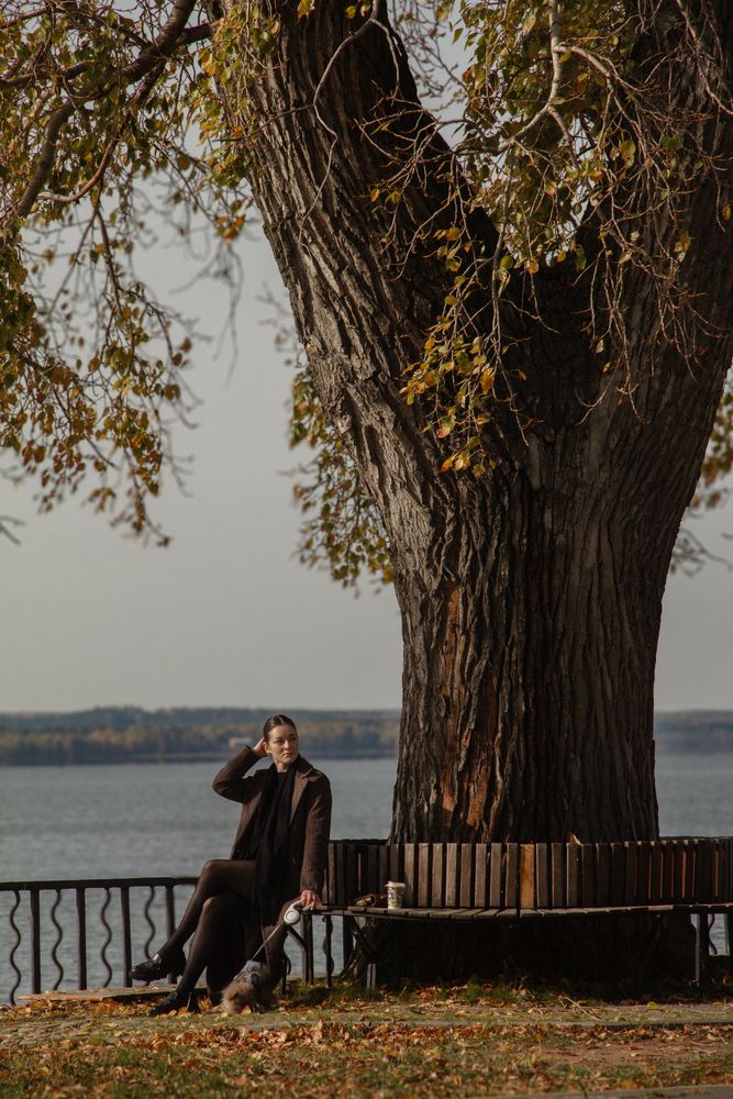 Photo #13662771