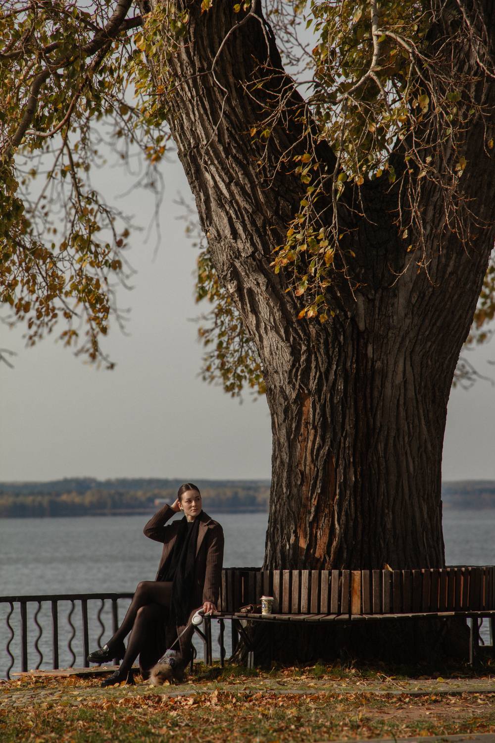Photo #13662771