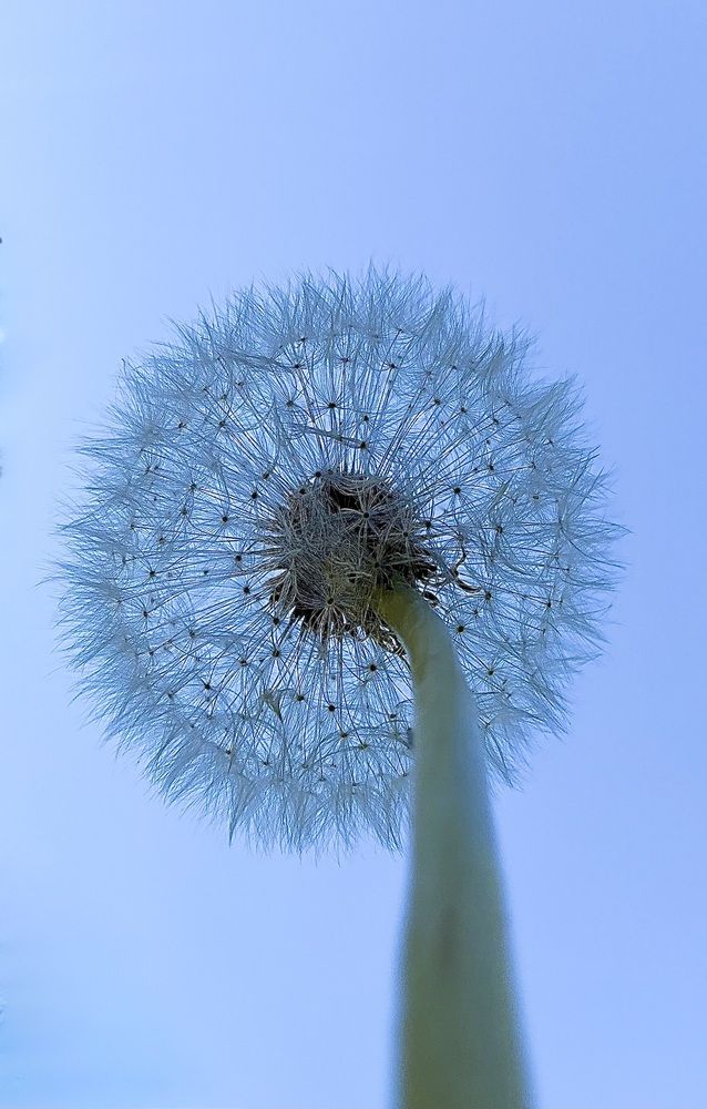 Photograph by Марина Василенко