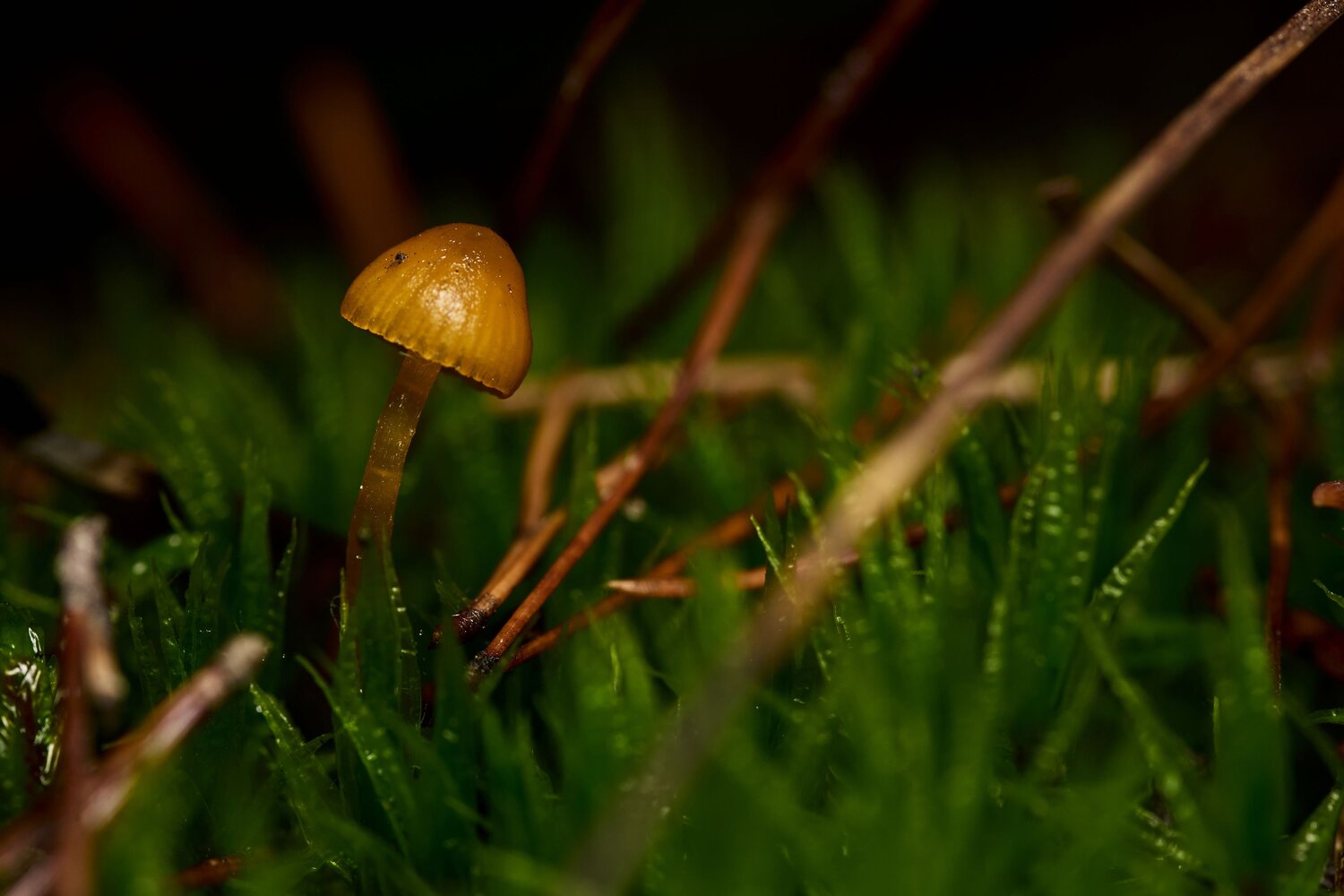 Photo #13662870