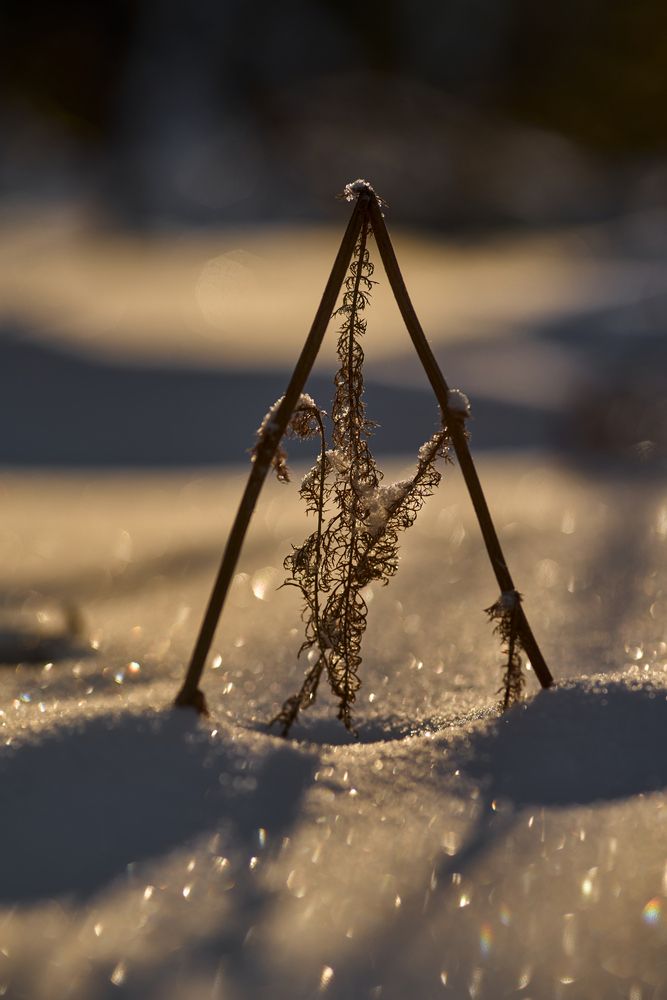 Photograph by Игорь Игоревич
