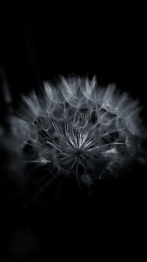 Photograph by ELLA BROD