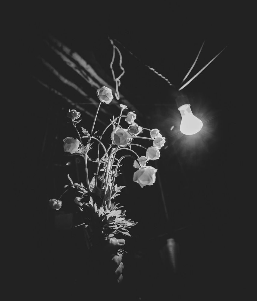 Photograph by Каргин Валерий