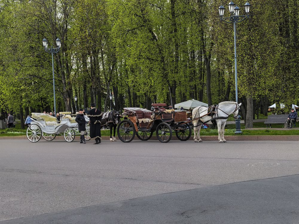 Photograph by Александр Порохов