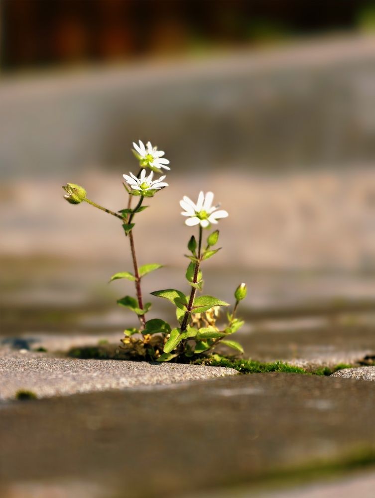 Photograph by Евгений Аксененко