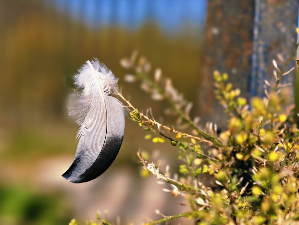 Photograph by Евгений Аксененко