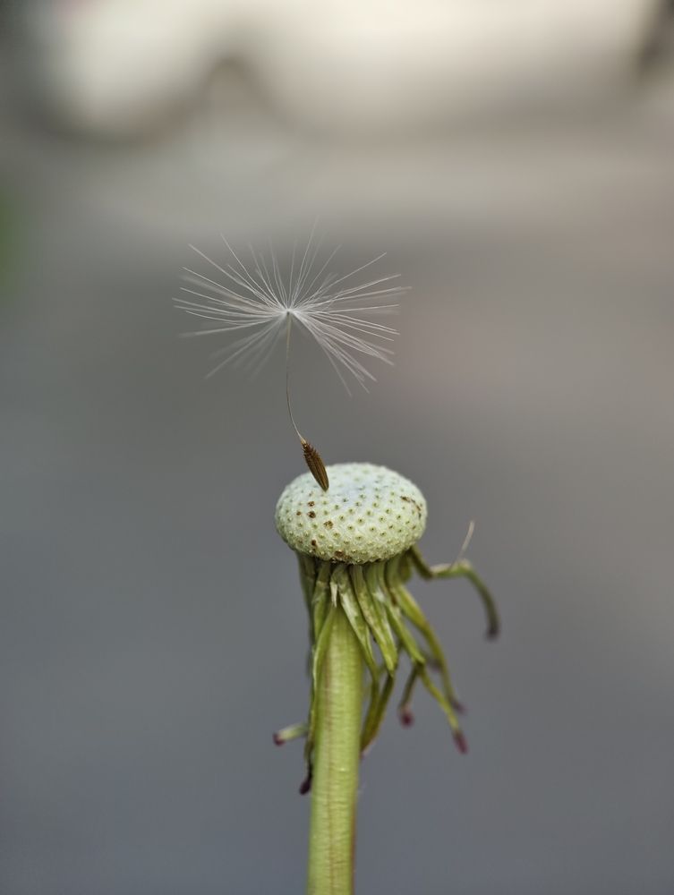 Photograph by Евгений Аксененко