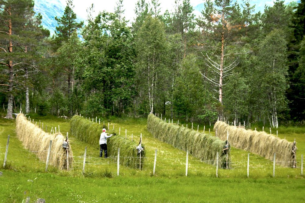 Photograph by Вячеслав Лычков
