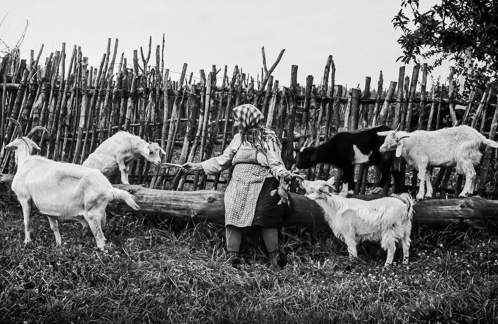 Photograph by Вячеслав Лычков
