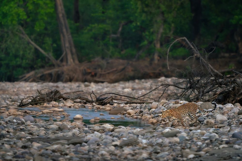 Photograph by mahadevan Arige