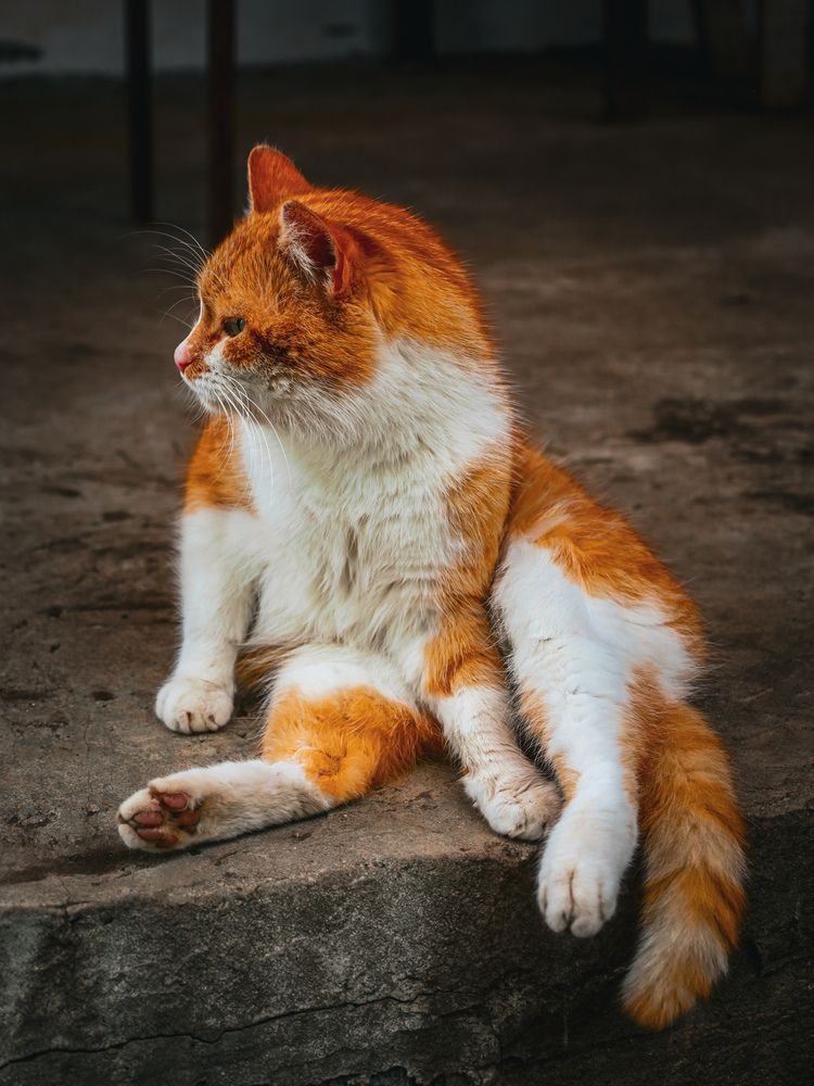 Photograph by Александра Ельникова