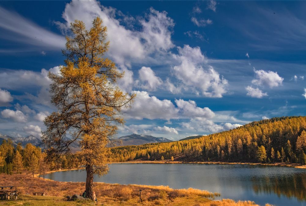 Photograph by Юдинских Марина