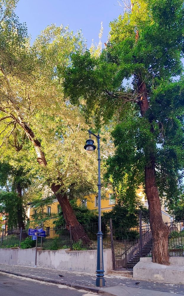 Photograph by Василиса