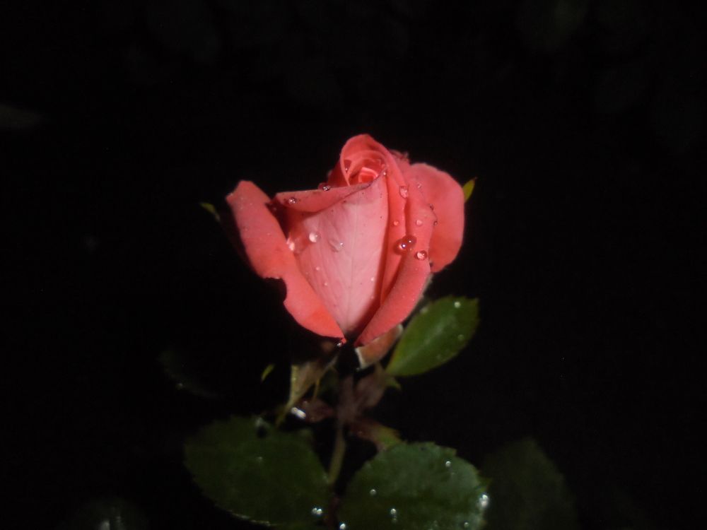 Photograph by Лилия Исхакова