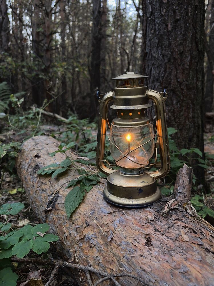 Photograph by Лидия Жижина