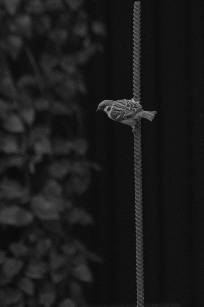 Photograph by Яна Истоцкая