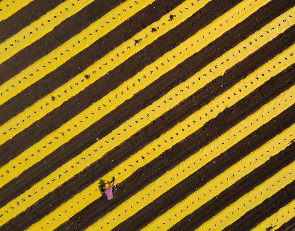 Photograph by Yair Palti