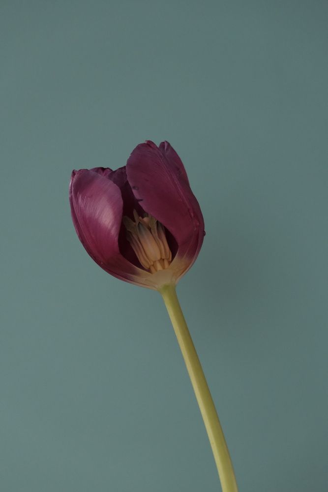 Photograph by Яна Истоцкая