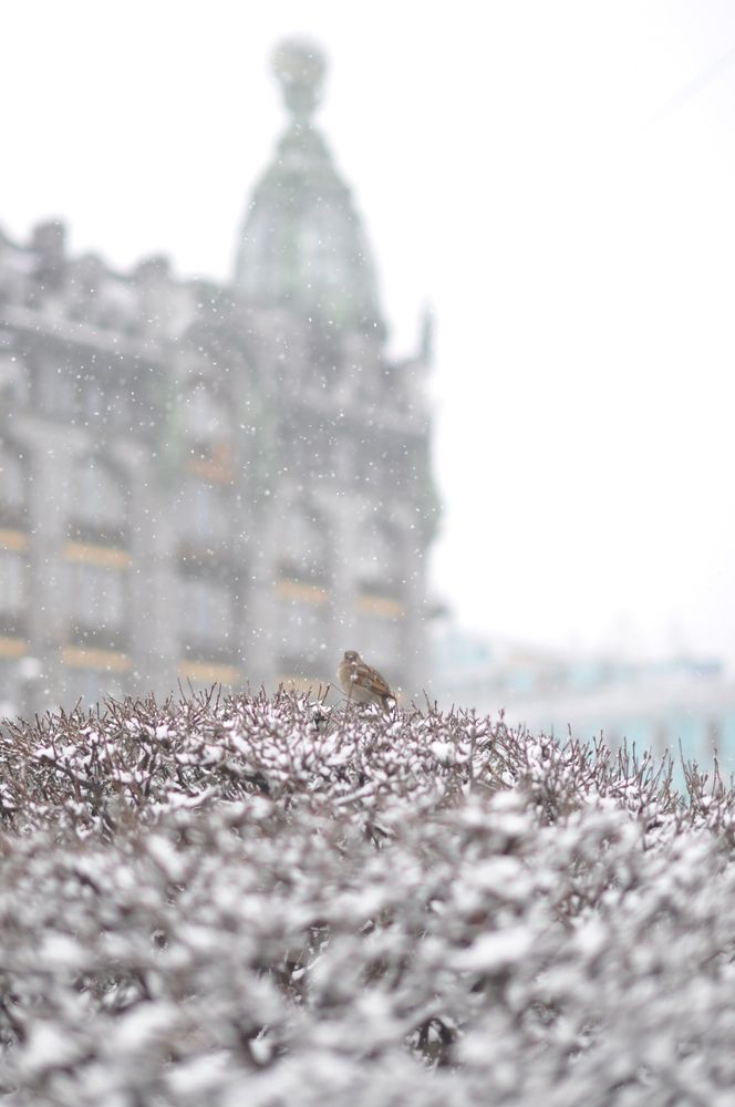 Photograph by Сергей Устинов