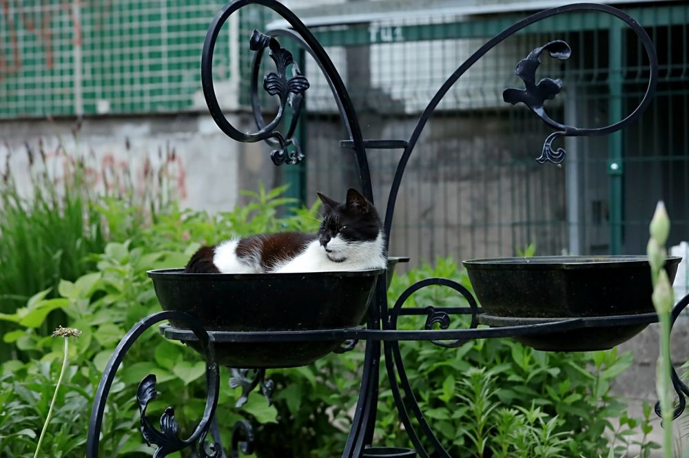 Photograph by Татьяна Слесарева