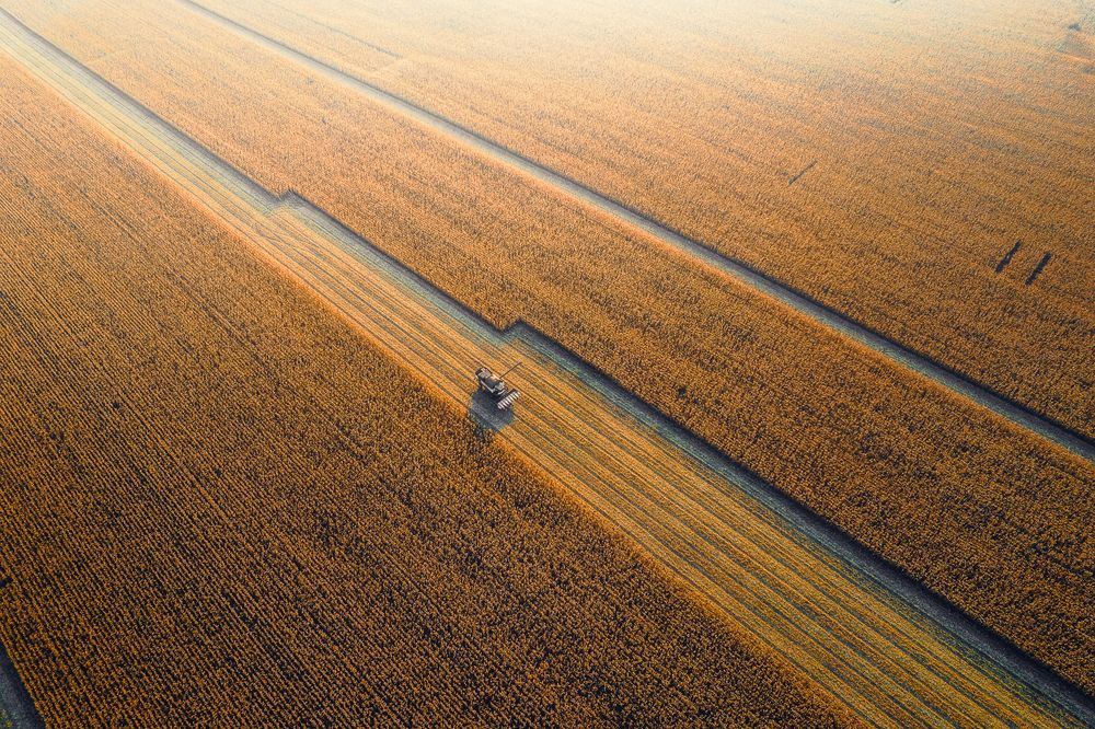 Photograph by Брытков Николай