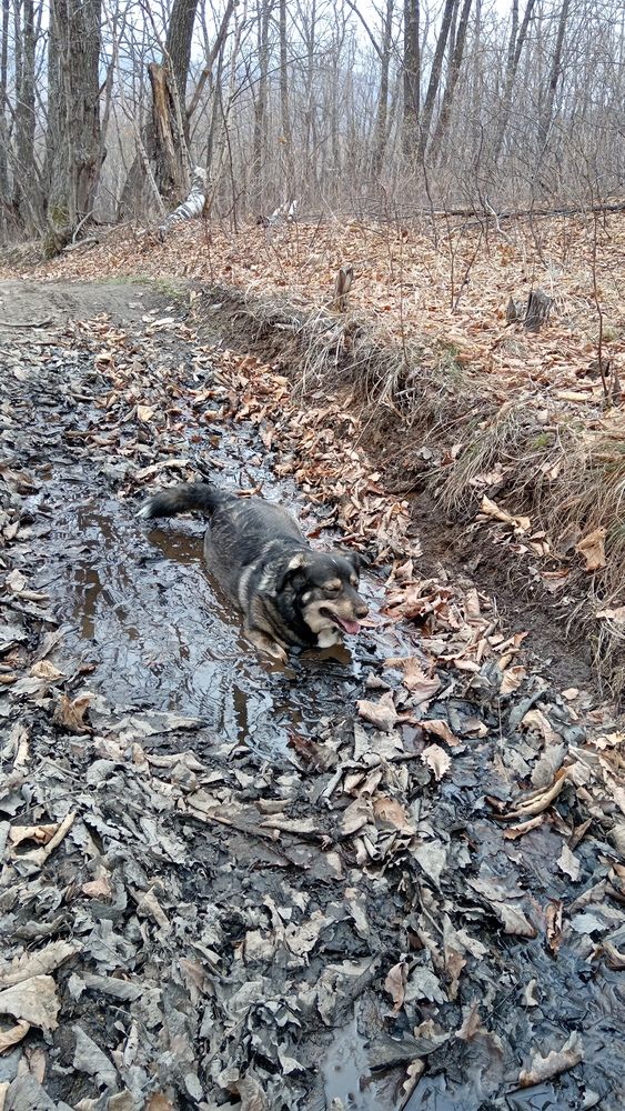 Photo #13663658