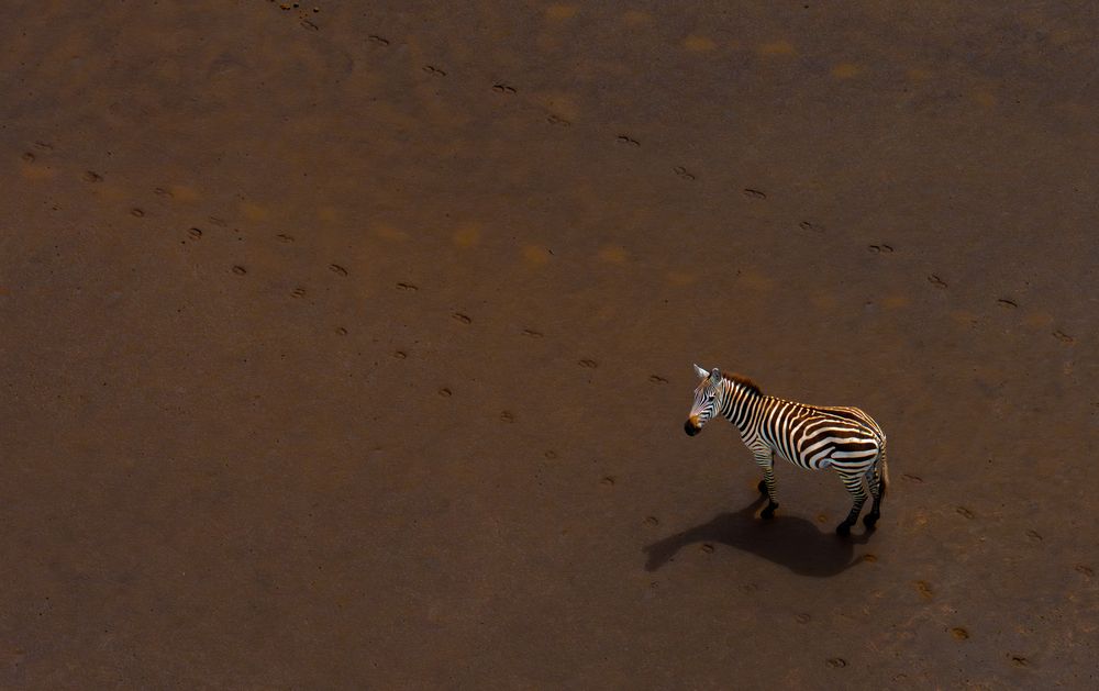 Photograph by Venki Ramasubhramoni