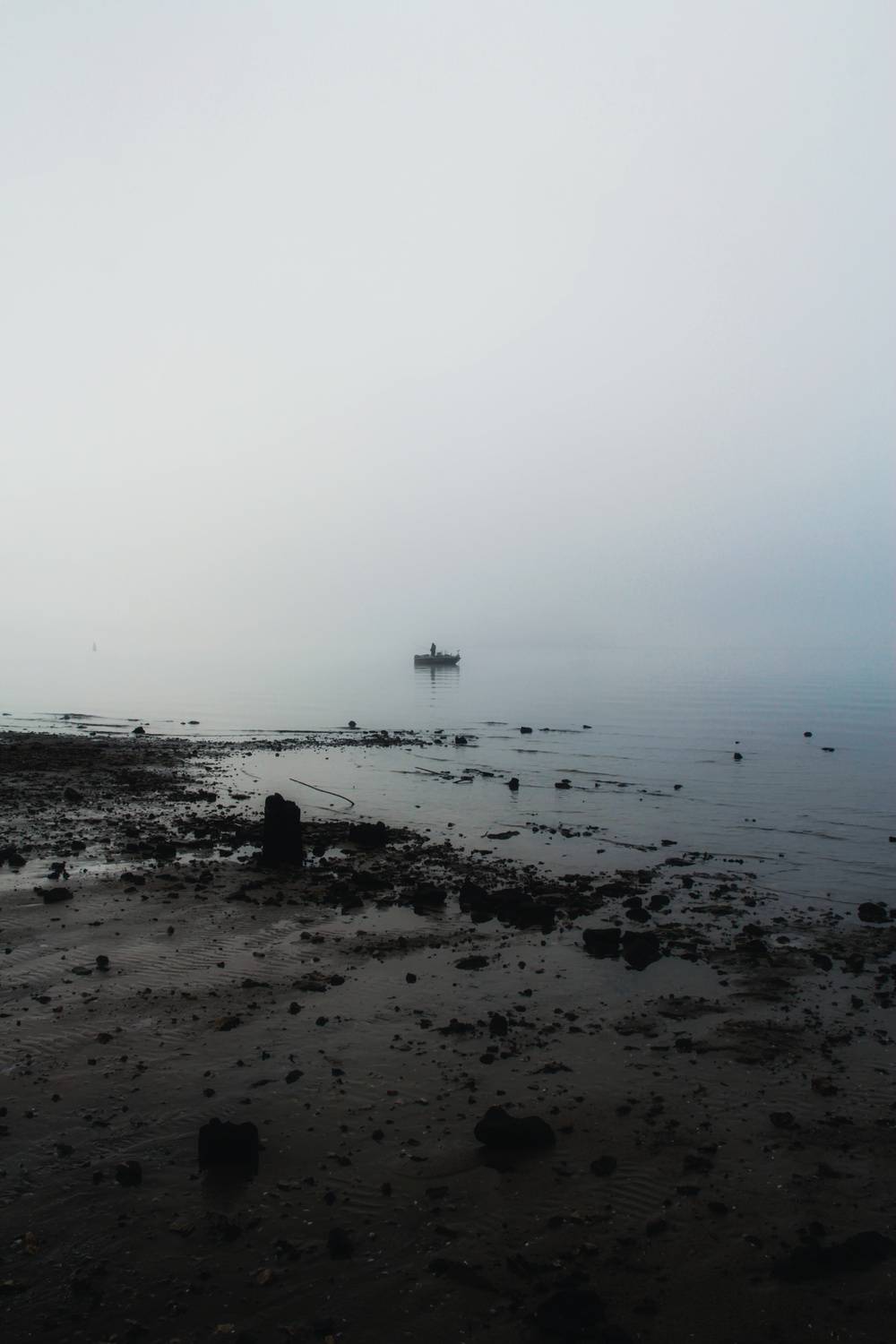 Photo #13663762