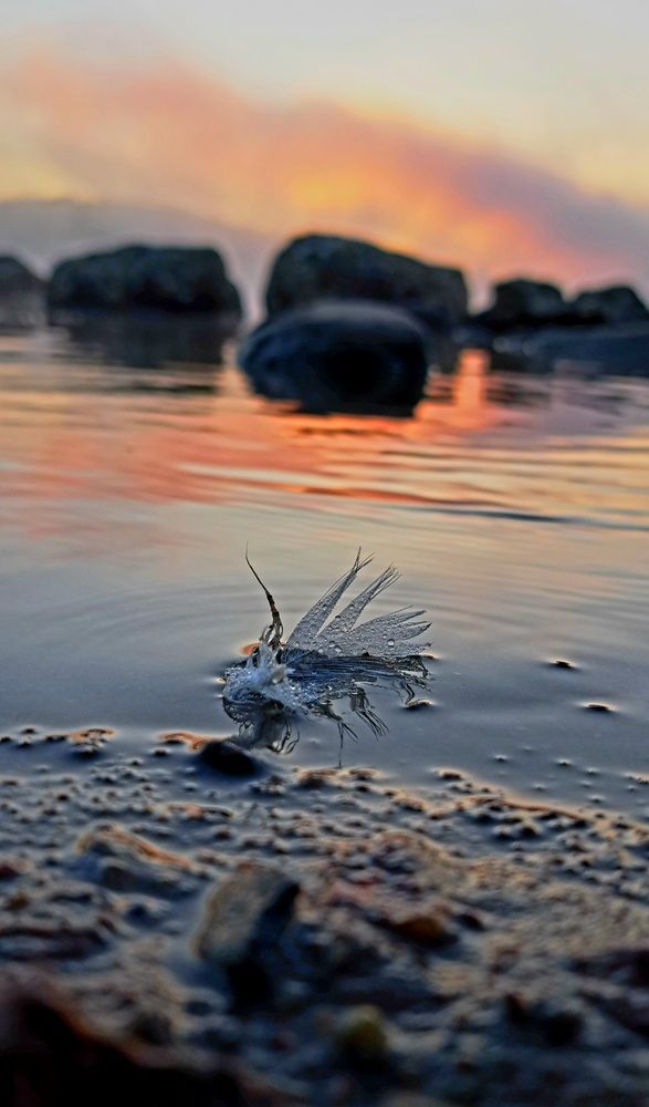 Photograph by Галина Перепечаева