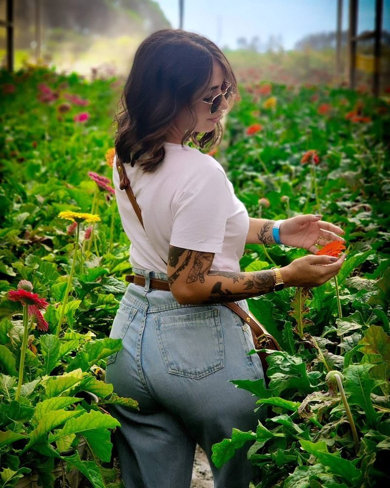 Фотография автора Ana Júlia Longo Paes Migueis