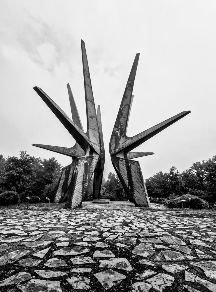 Photograph by Наталья