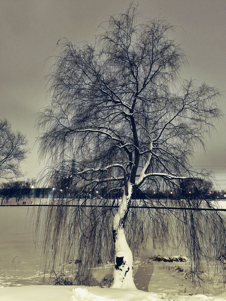 Photograph by Олеся Хижко