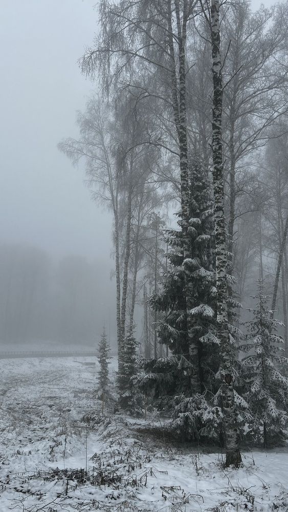 Photograph by Наталья Шебаршина