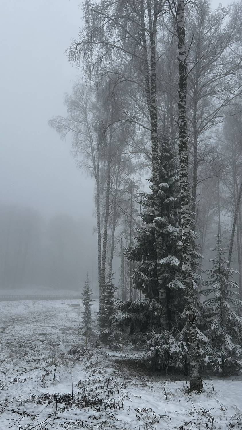 Photo #13663916