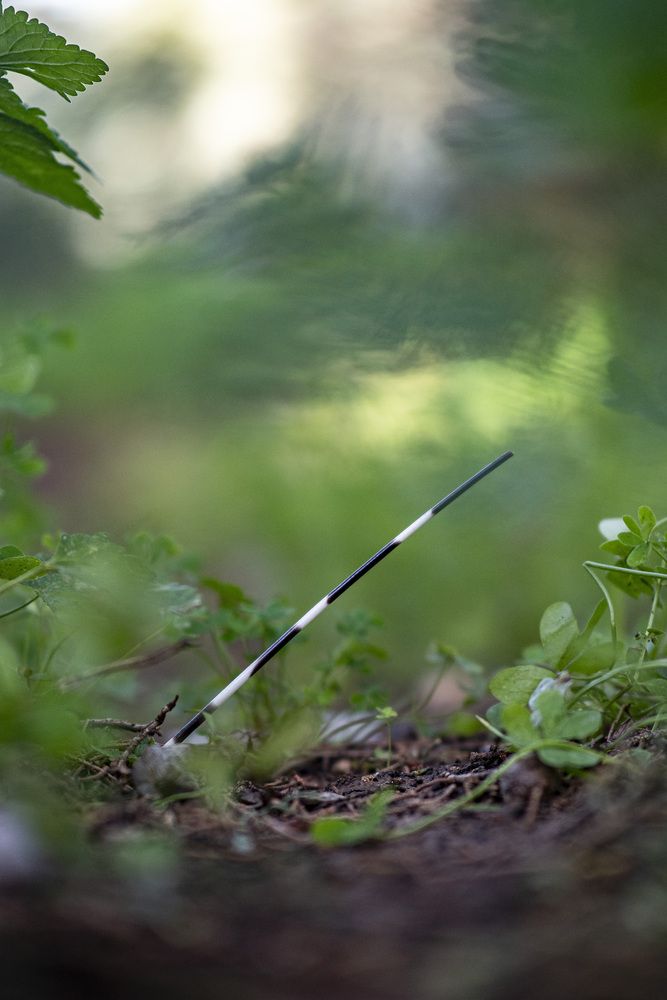 Photograph by Доляна Горохова