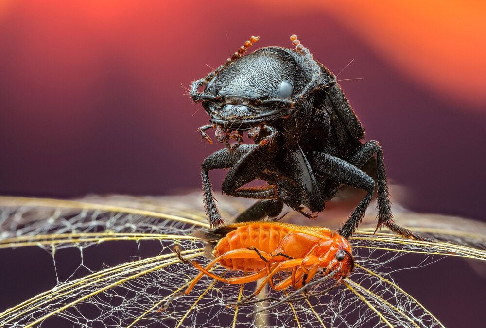 Photograph by Владимир Сковородников